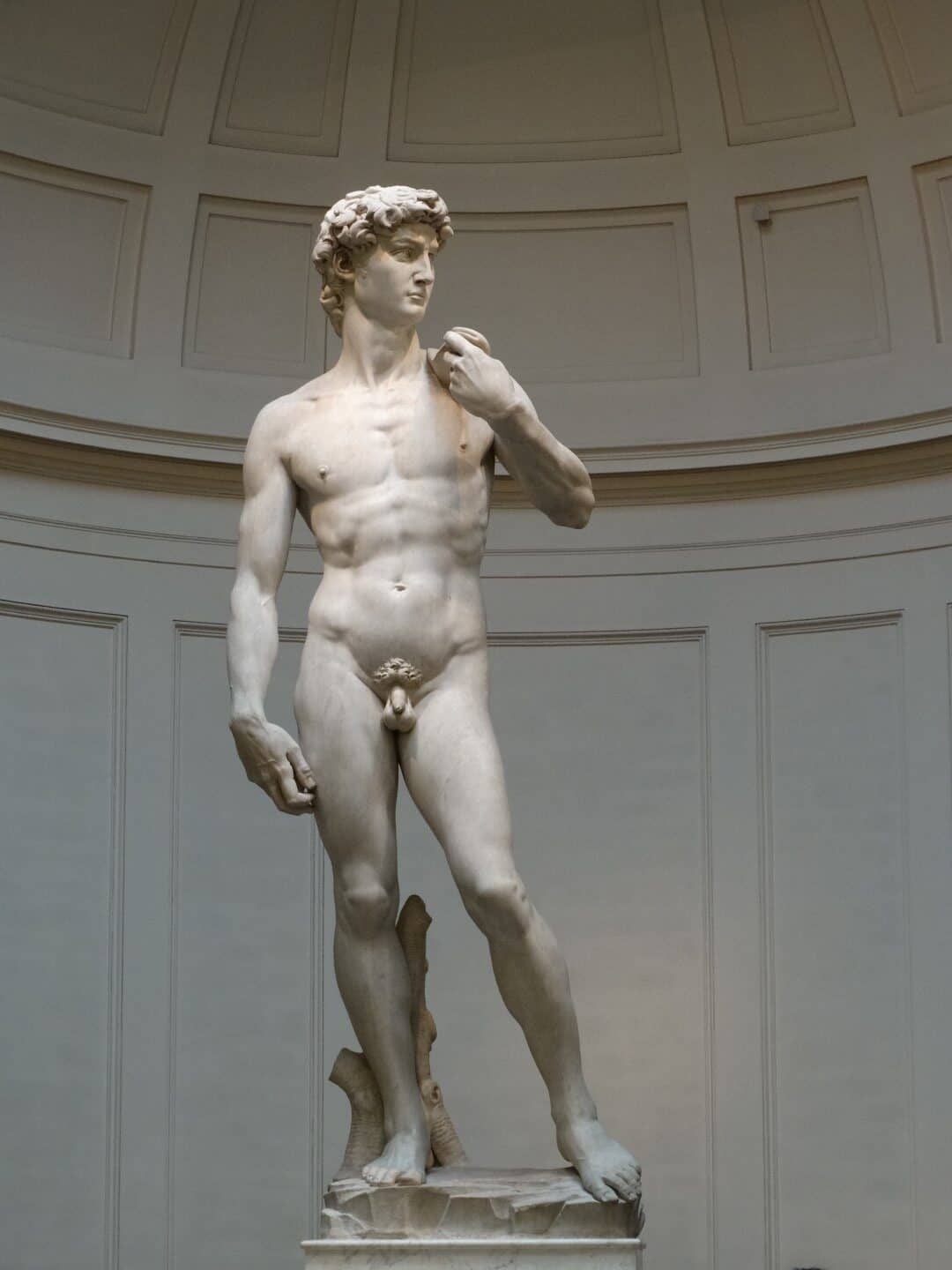 David by Michelangelo, foto by rene de paula jr