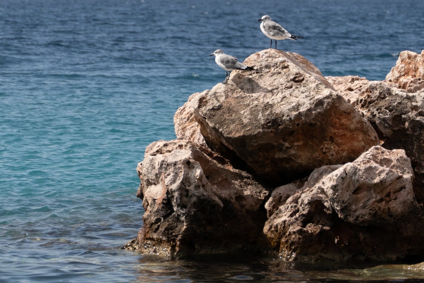 Curaçao - foto by rene de paula jr