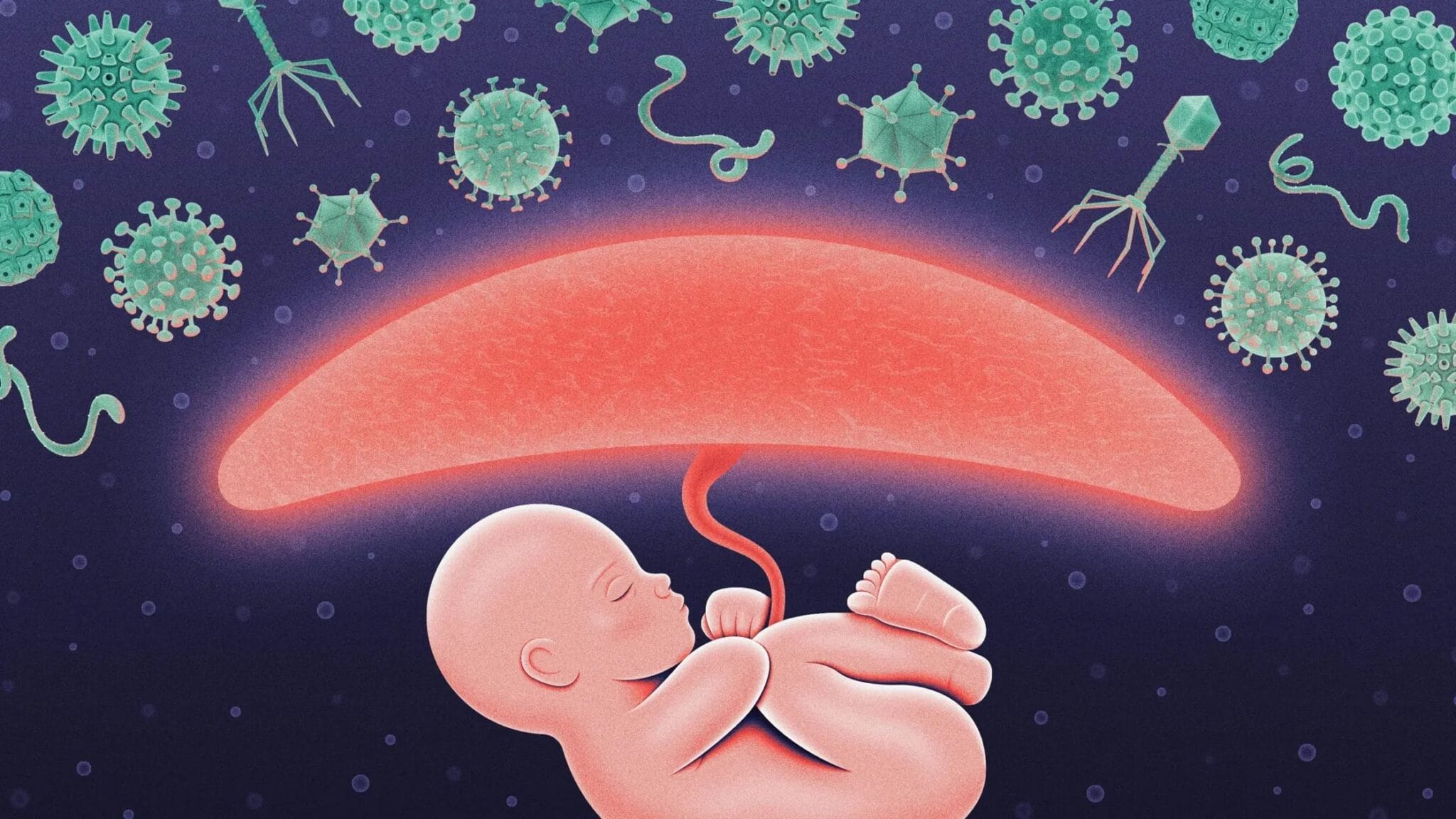 During Pregnancy, the Placenta Hacks the Immune System to Protect the Fetus https://www.wired.com/story/during-pregnancy-the-placenta-hacks-the-immune-system-to-protect-the-fetus/