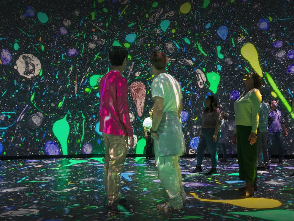 Matt Shanley and Alvaro Keding/© AMNH