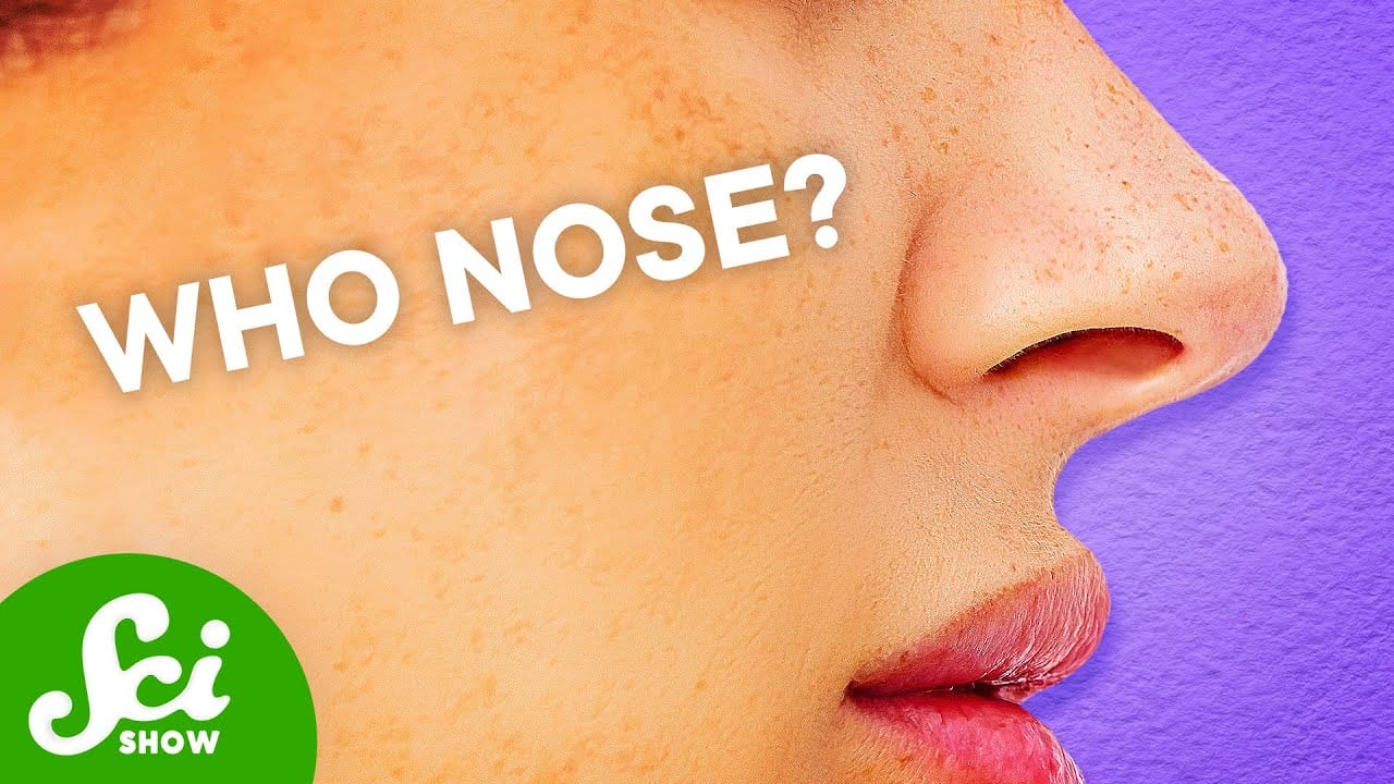 Why Do Our Noses Stick Out? https://youtu.be/RIr3o_QYi20?si=8hykydMXBht3uqCh