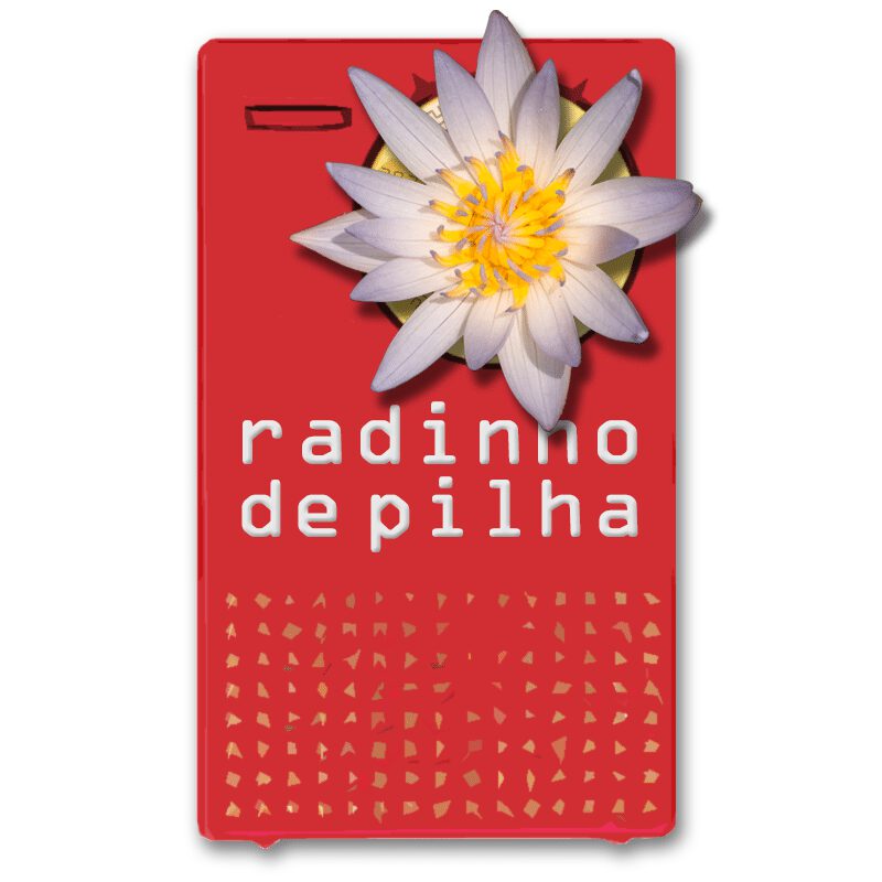 logo do radinho com flor (foto minha)