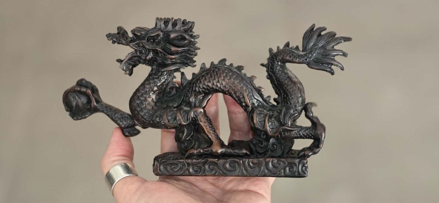 dragão - foto pessoal