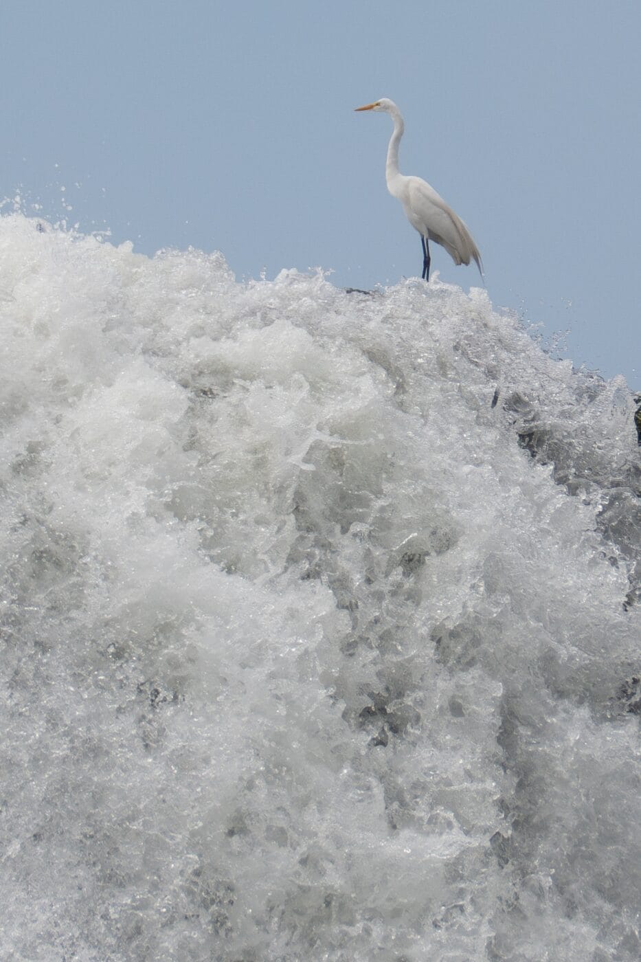 acervo pessoal - Foz do Iguaçu 2025