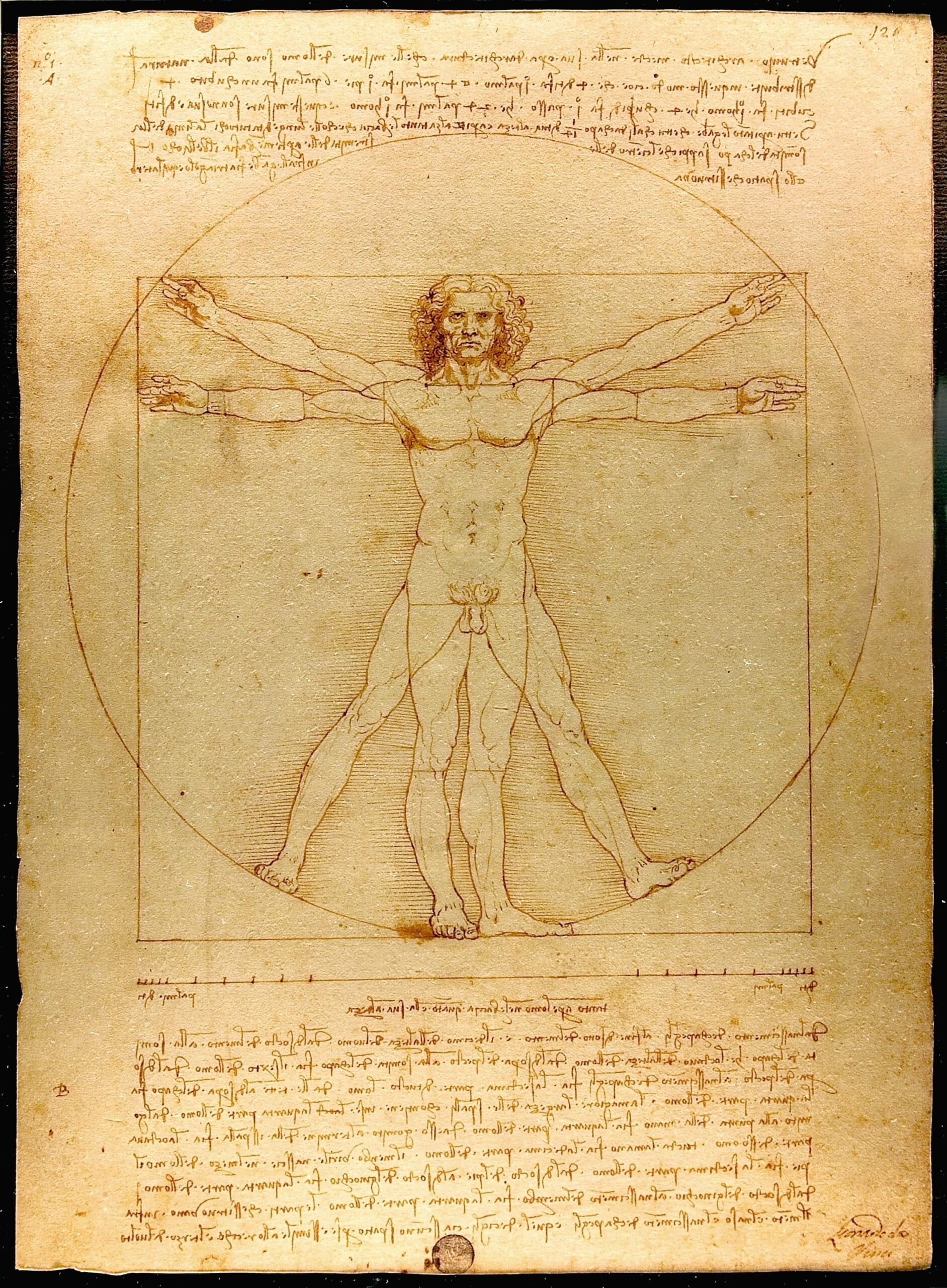 By Leonardo da Vinci - Leonardo Da Vinci - Photo from www.lucnix.be. 2007-09-08 (photograph). Photograpy:This image is the work of Luc ViatourPlease credit it with: Luc Viatour / https://Lucnix.be in the immediate vicinity of the image. A link to my website https://lucnix.be is much appreciated but not mandatory.An email toViatour Luc would be appreciated too.Do not copy this image illegally by ignoring the terms of the license below, as it is not in the public domain.If you would like special permission to use, license, or purchase the image please contact me Viatour Luc to negotiate terms.More free pictures in my personal gallery[Note: this is in the public domain, despite the photographer's contradictory claim. Any use is permissible, and no credit to the photographer is necessary.]Nikon case D80 optical Sigma 17-70mm F2,8/4,5 Macro, Public Domain, https://commons.wikimedia.org/w/index.php?curid=2738140